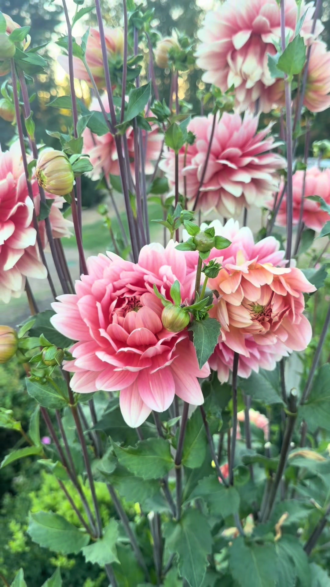 @Only The Pretty Petals
