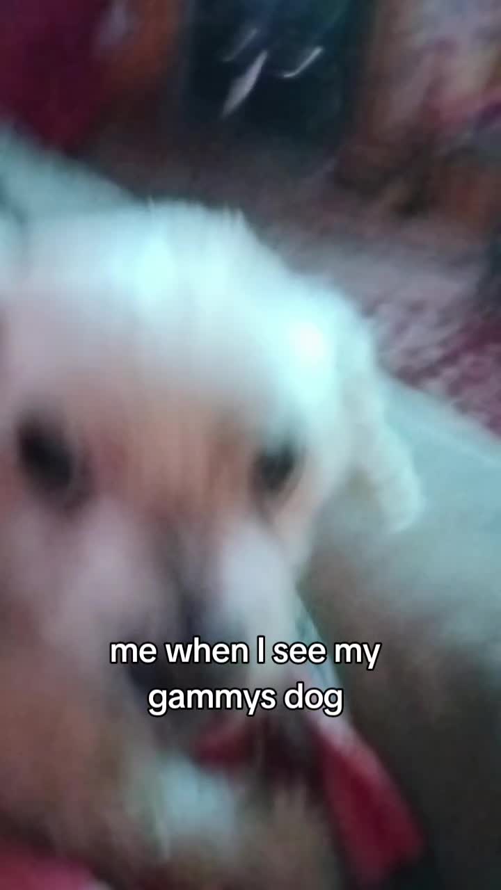 @୨୧ 𝒉 ᥫ᭡