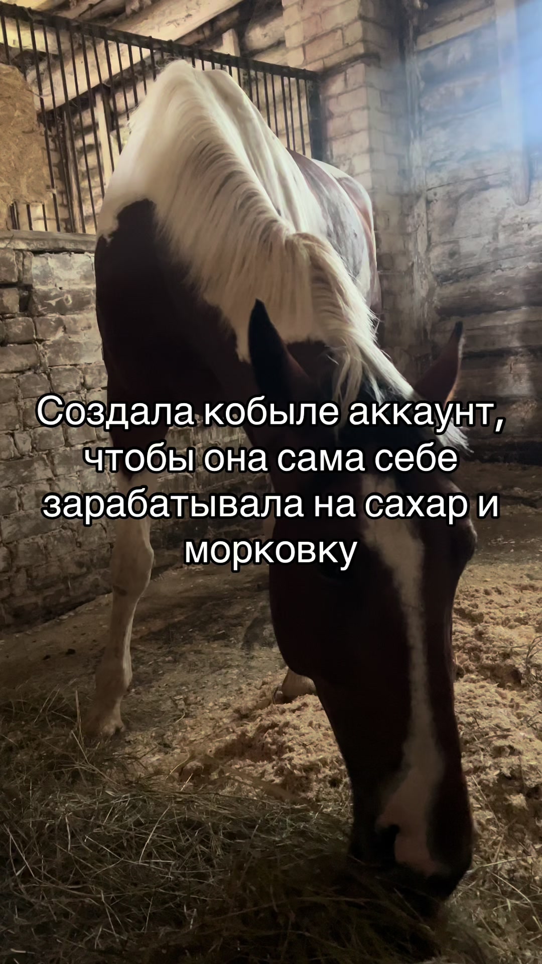 @Ли🐴