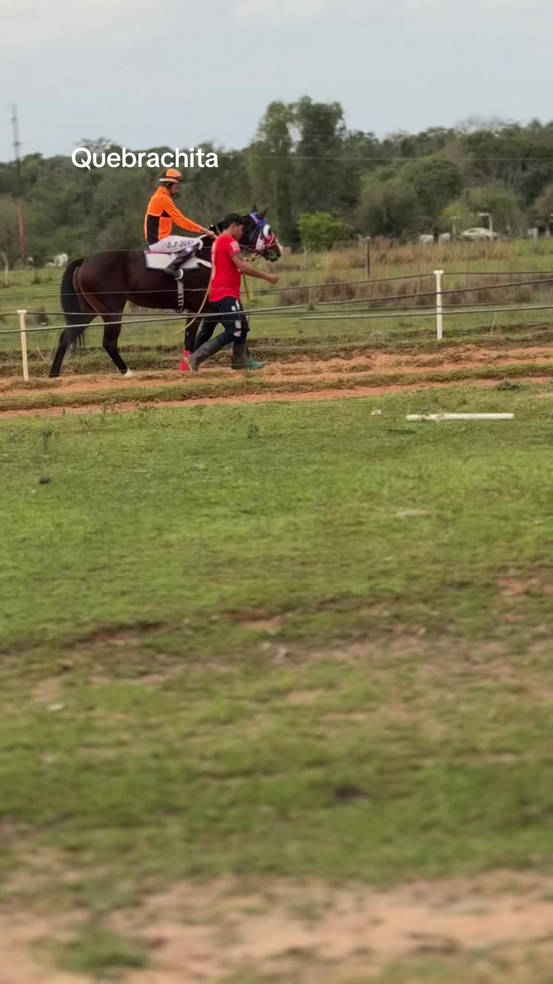 @hip&oacute;dromo Yataity Guair&aacute;.