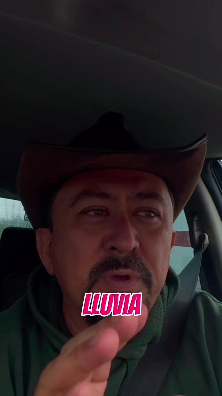@ElHierbero