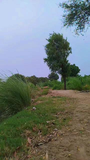 @Ali Raza lund baloch