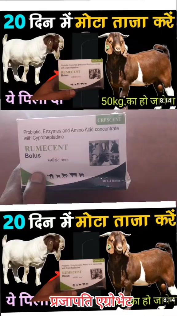 @Prajapati Agro Vet