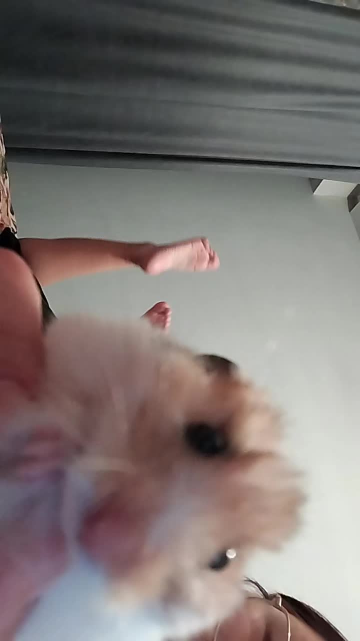 @ehik19