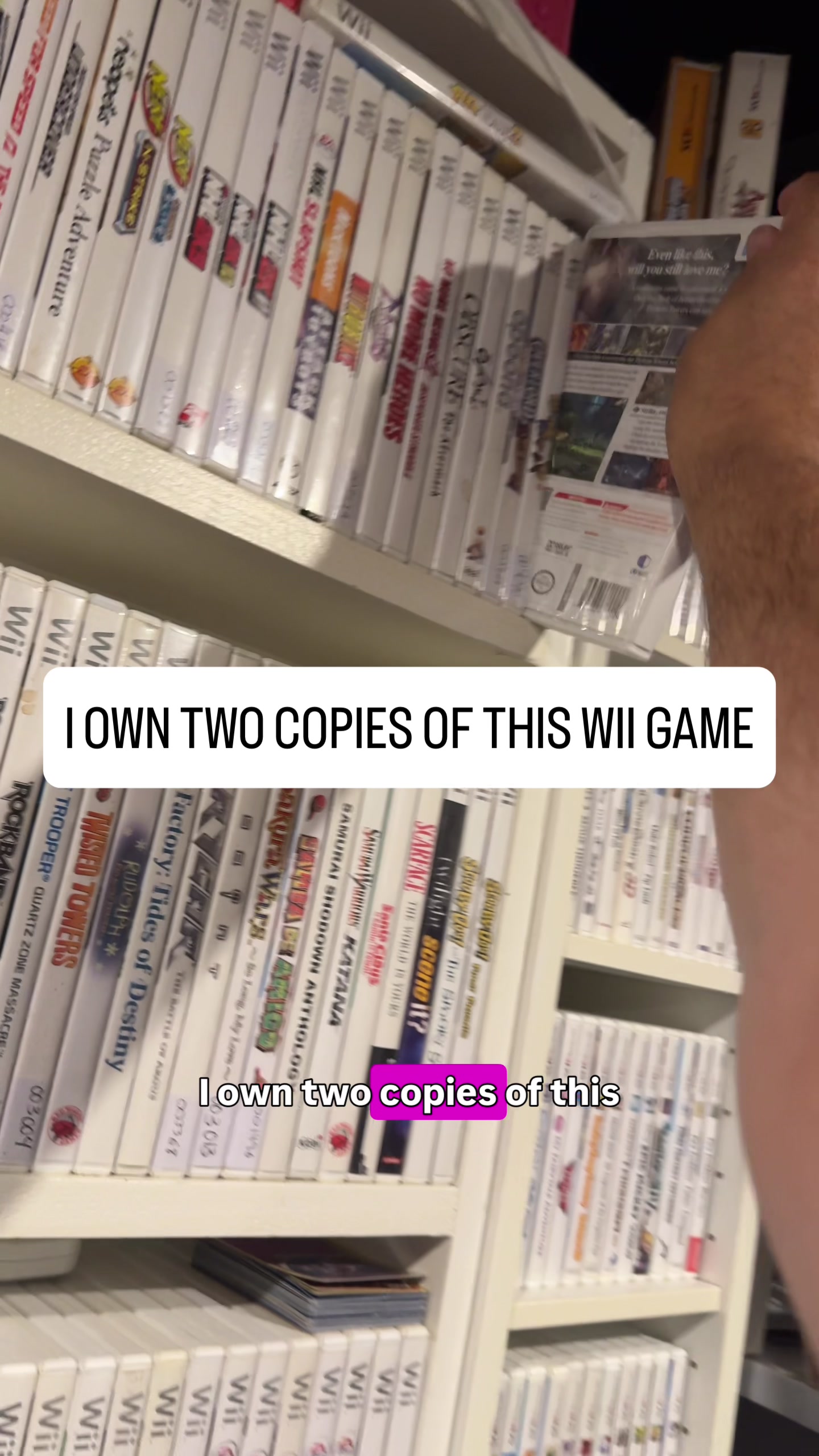 @naesarsroom