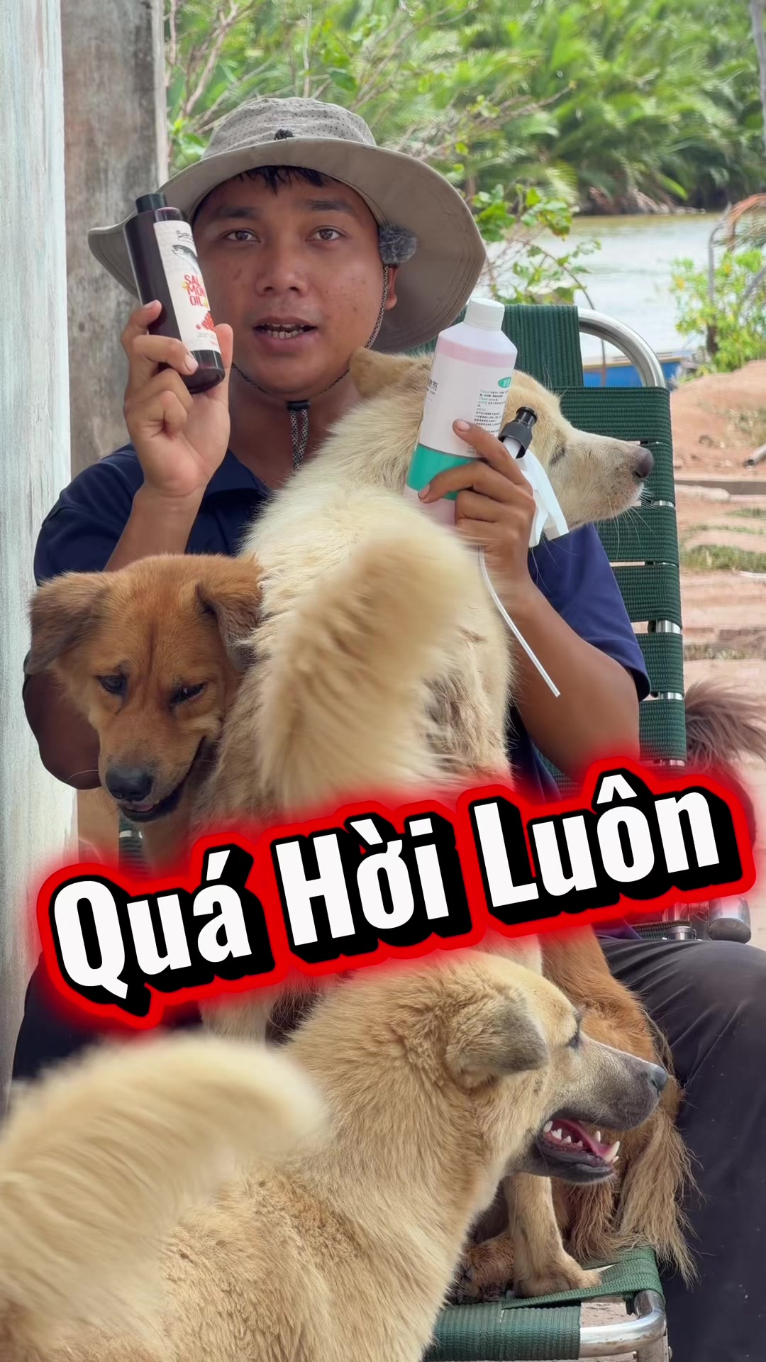@Tâm Chó Cỏ 🦮