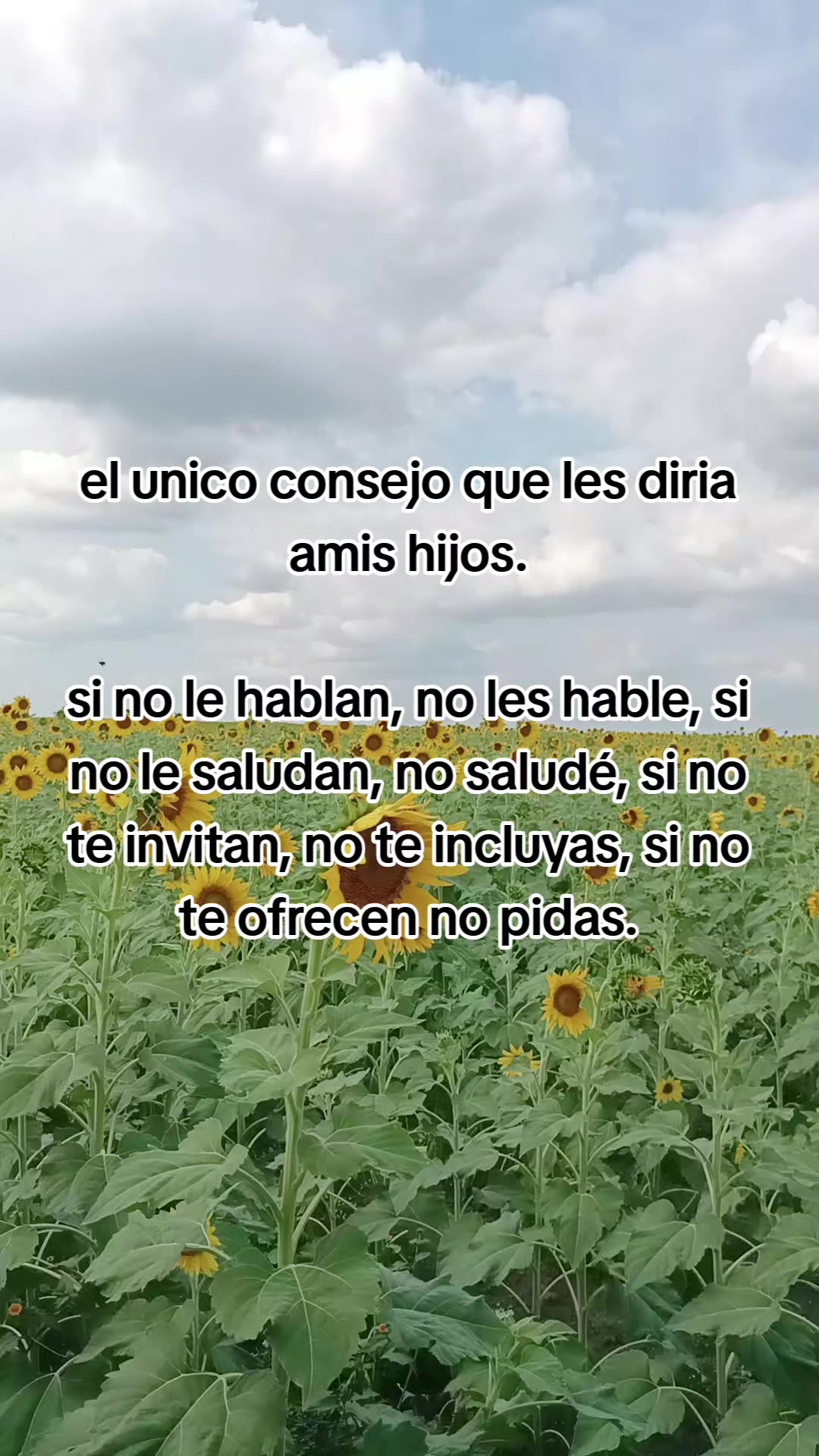 @RoSy RaMos
