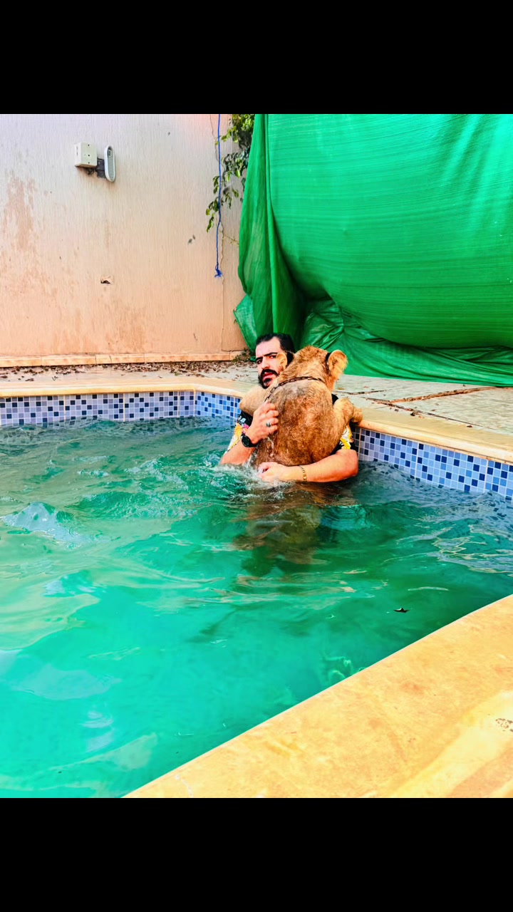 @مؤيد التركي 🐅🐆