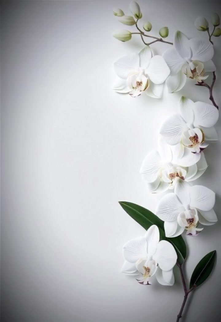 @01/02/26๐๐ฅ๐ค๐...27/08/24๐