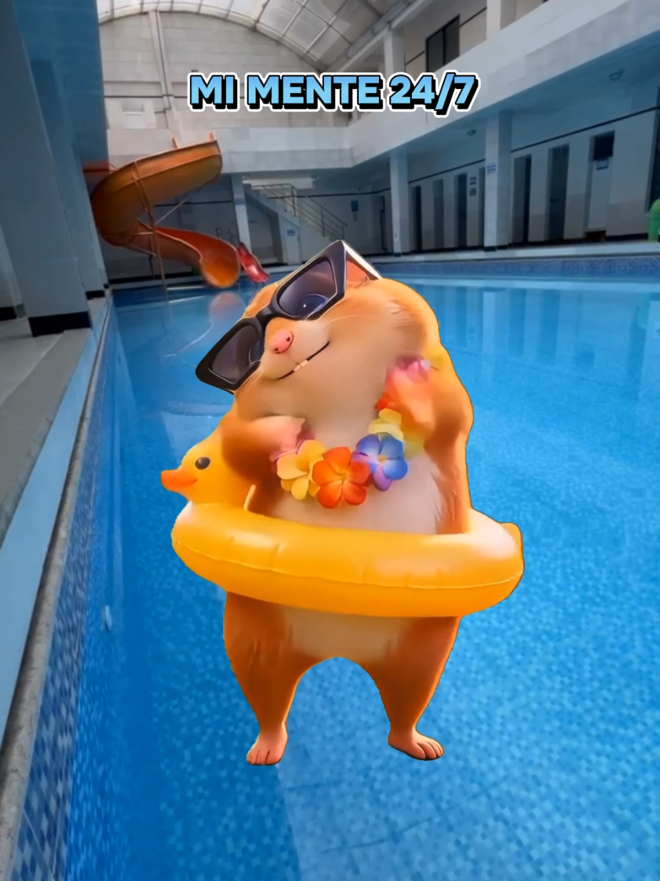 @Sauna Piscina "Los Leones"