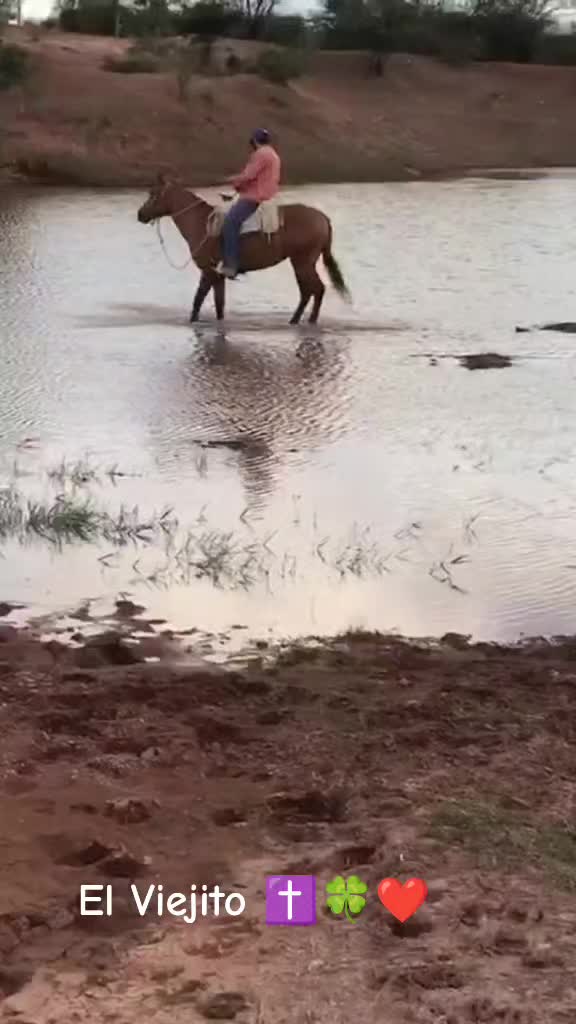 @Viejito Cordova✝️🍀❤️🐎🦅