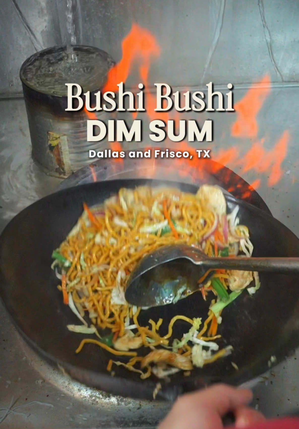 @bushibushi