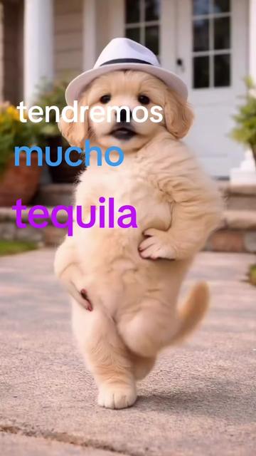 @paulina
