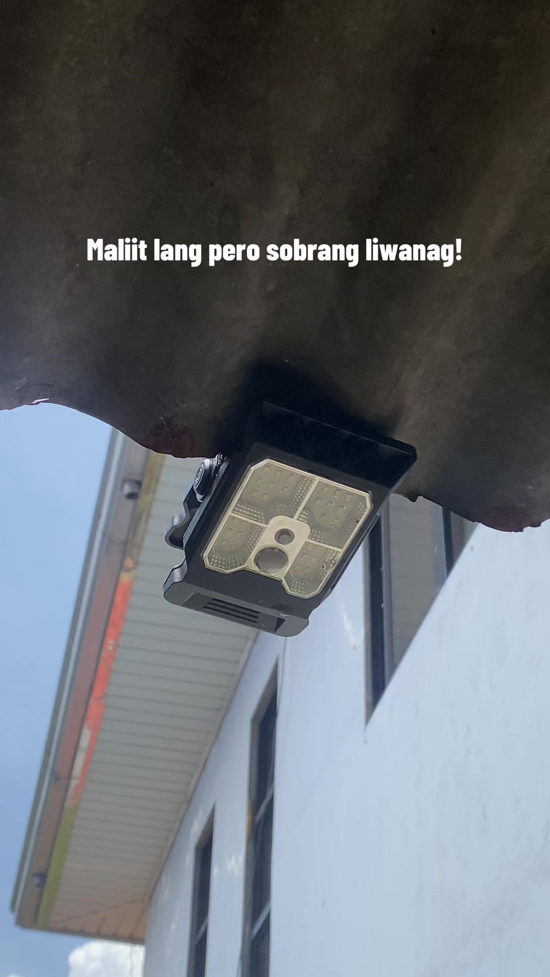 @polengg🧿
