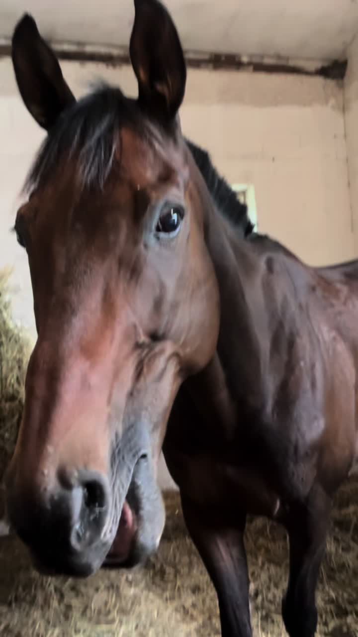 @zofka_eq