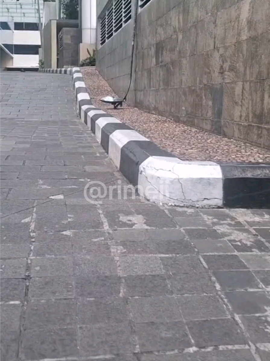 @rimeii