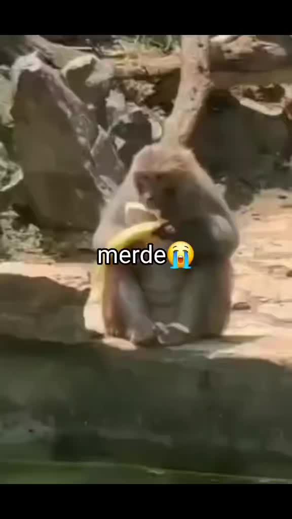 @TOUT REZO