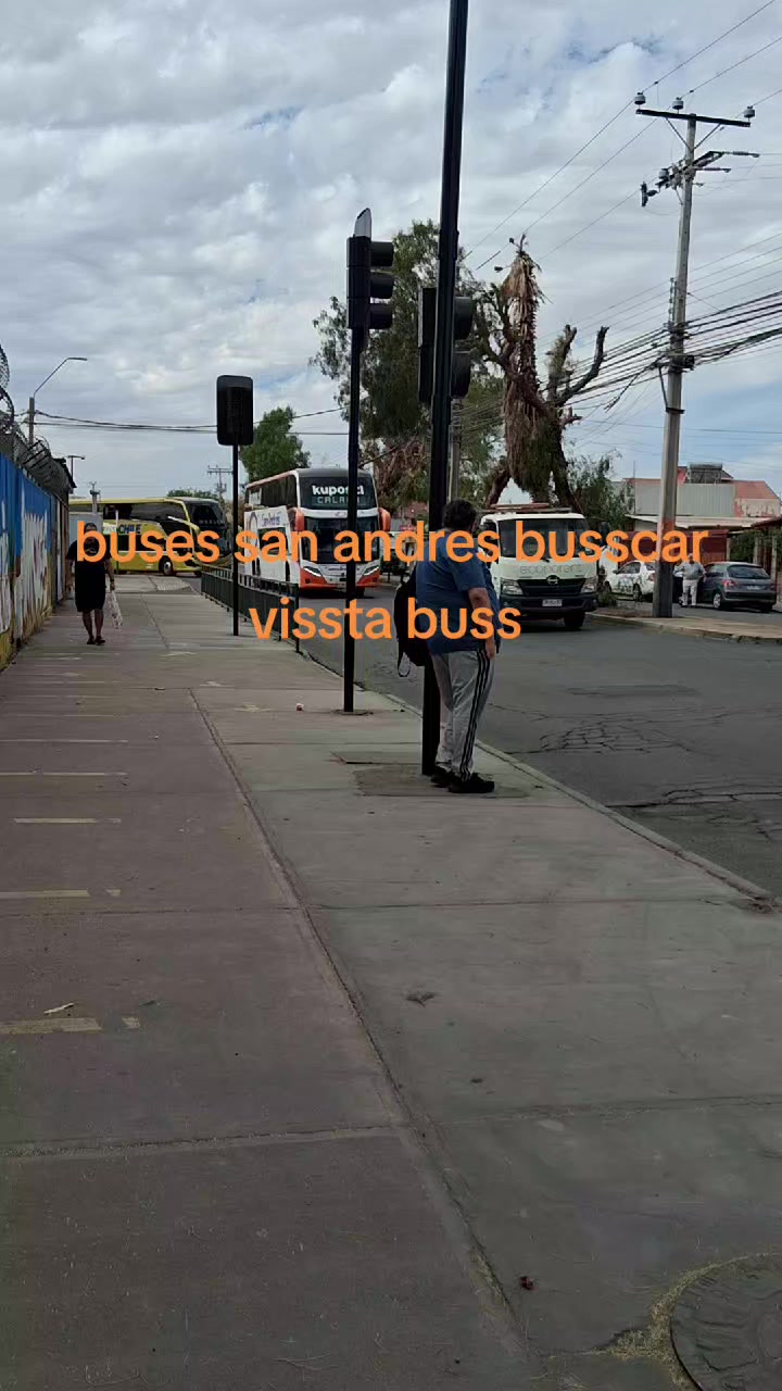 @Busología renato 😎