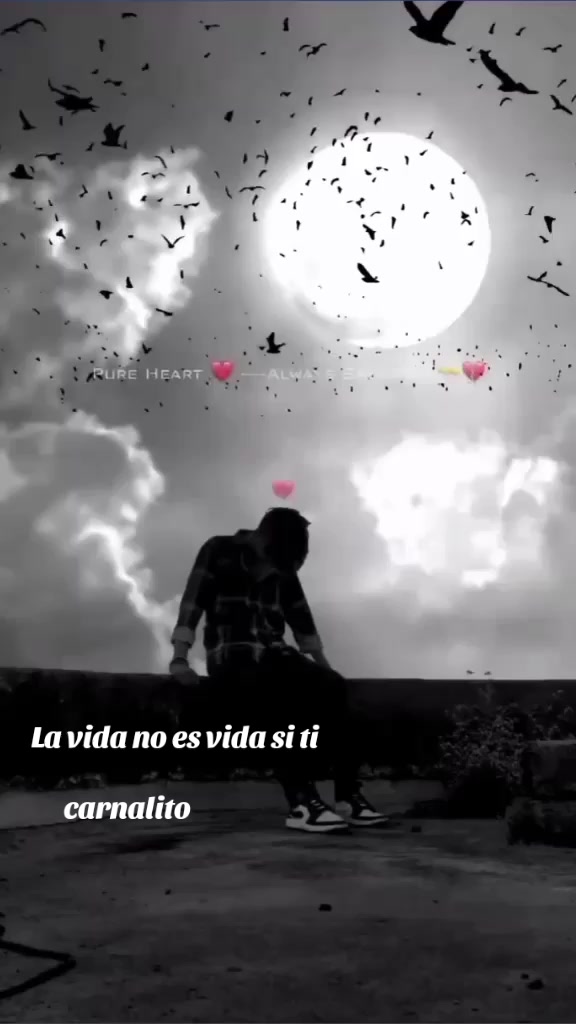 @🫨CHANTI🫨