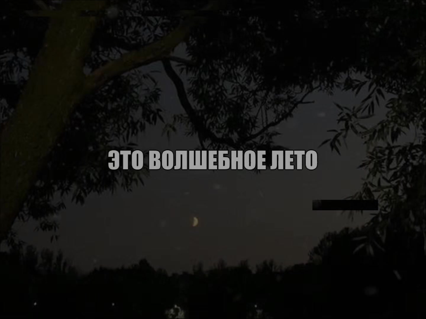 @SearchVibe.music