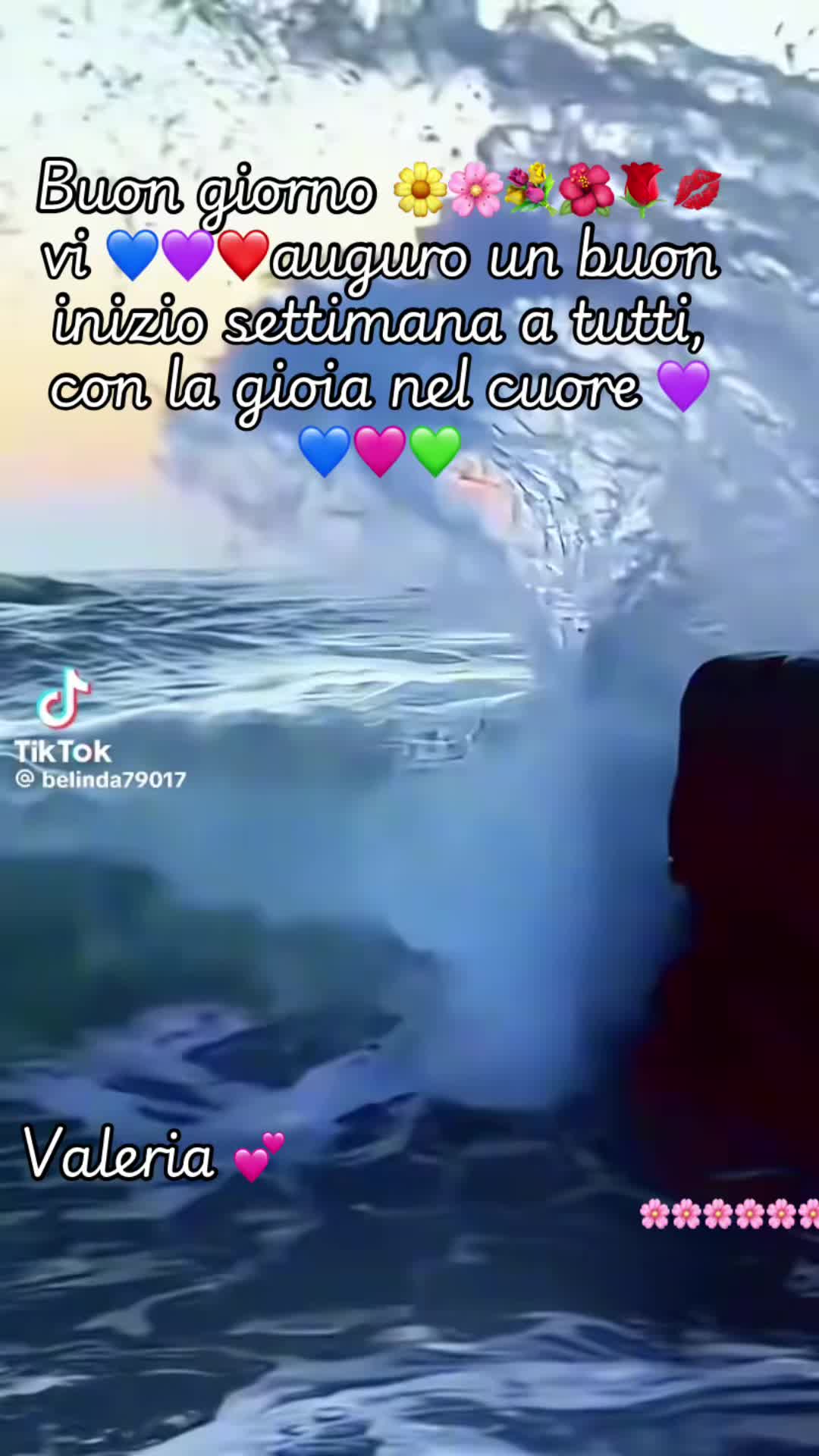 @valeriaevangelis840