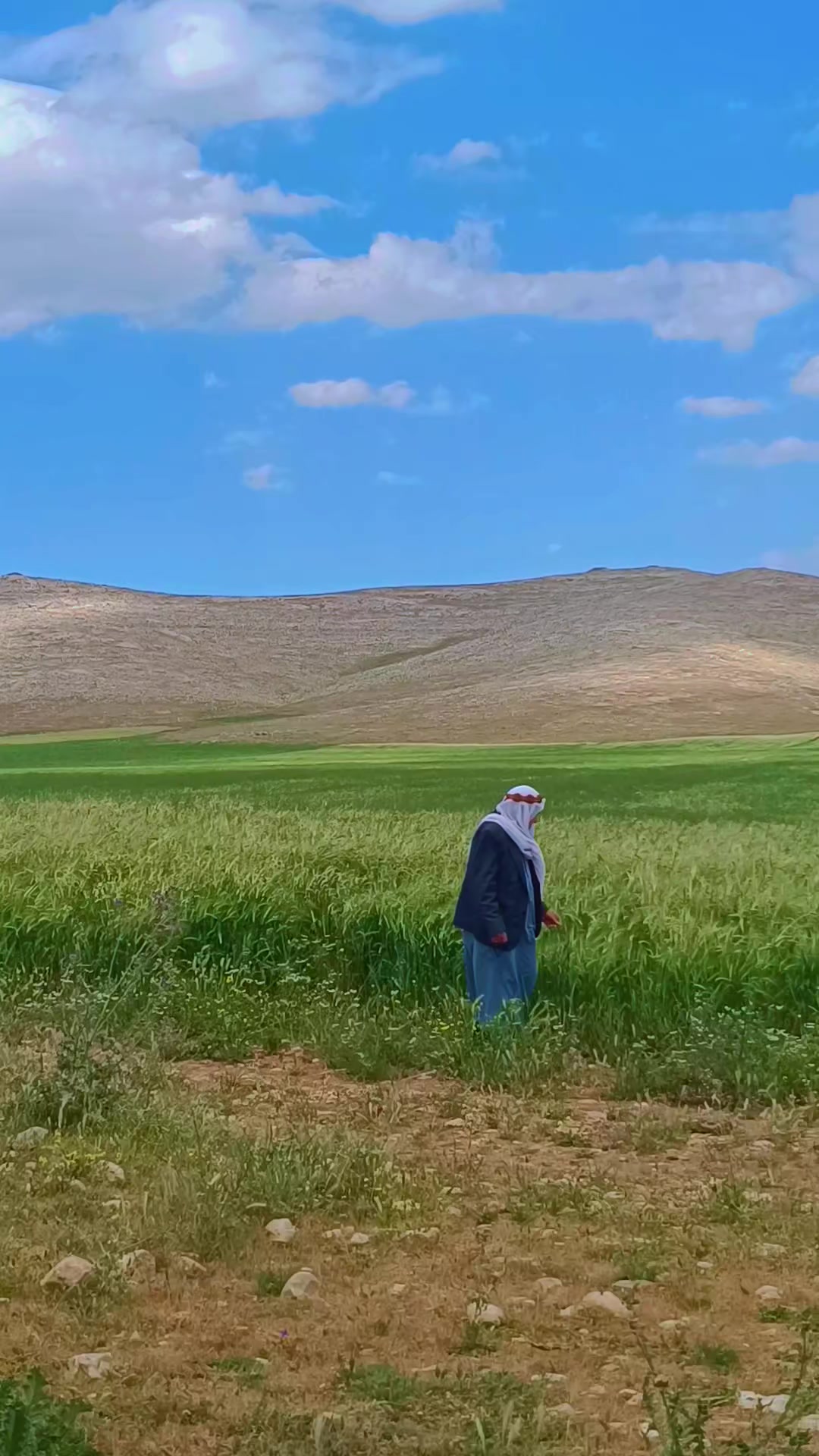 @bakır arslan