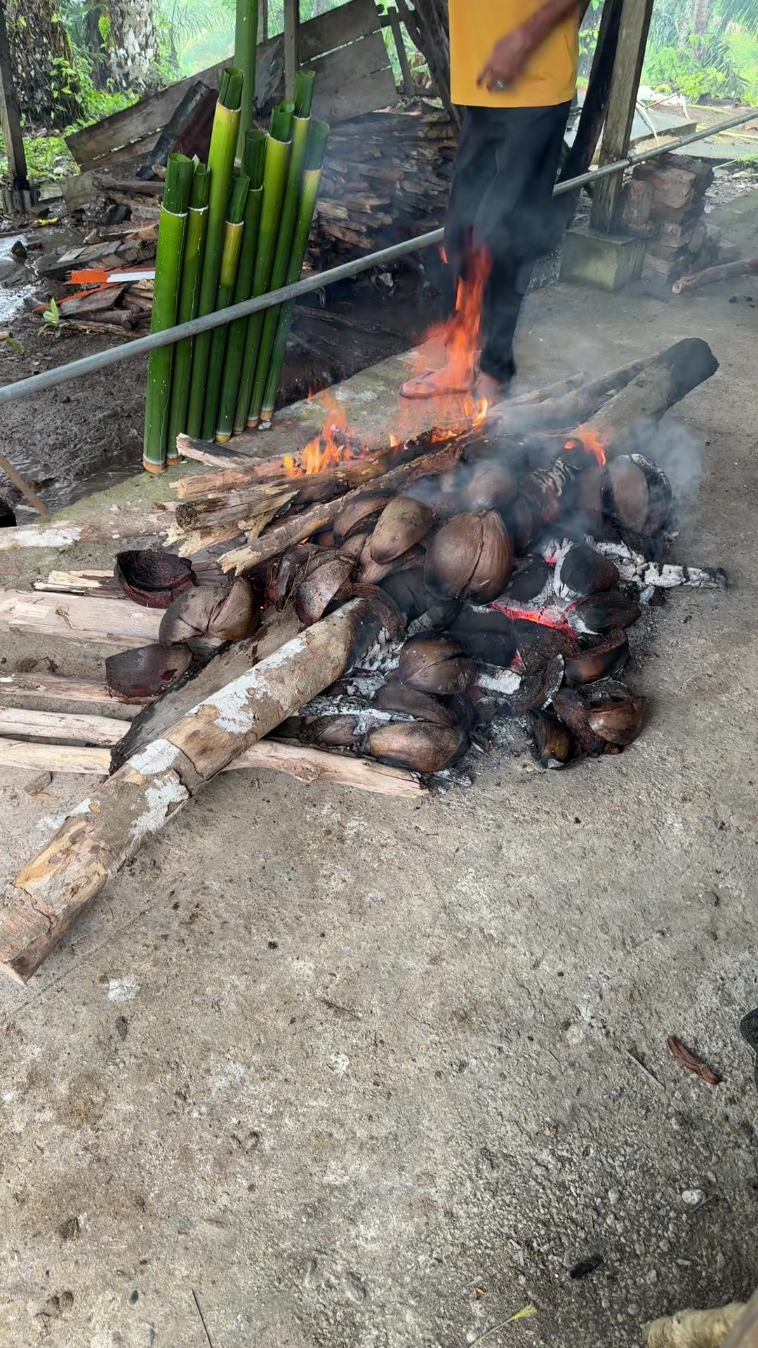 @Mandeh tex