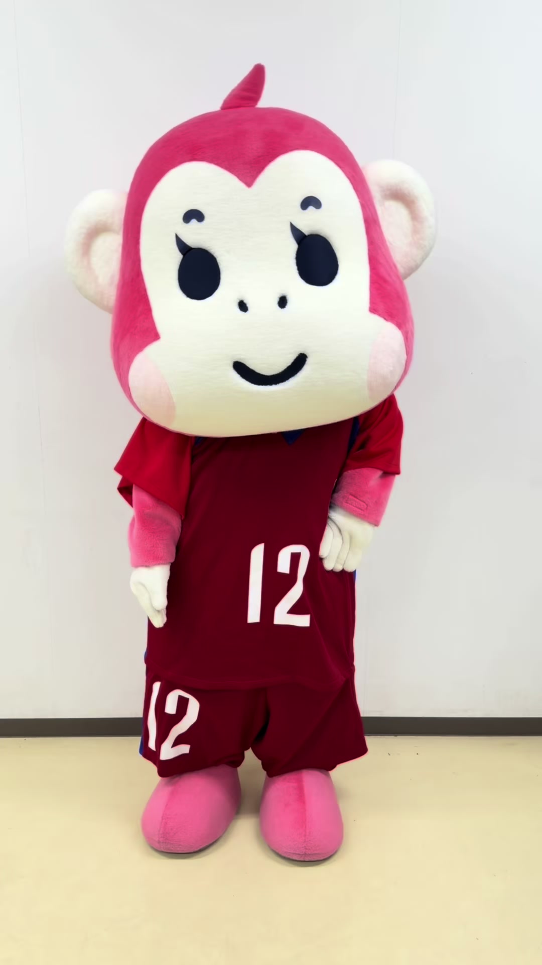 @ノジマステラ神奈川相模原