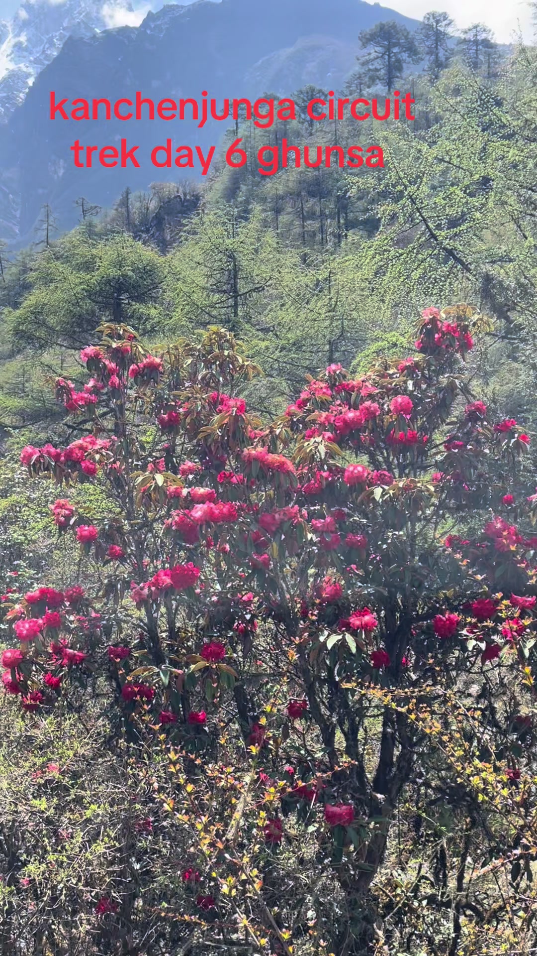 @himalayan_trekking_diary