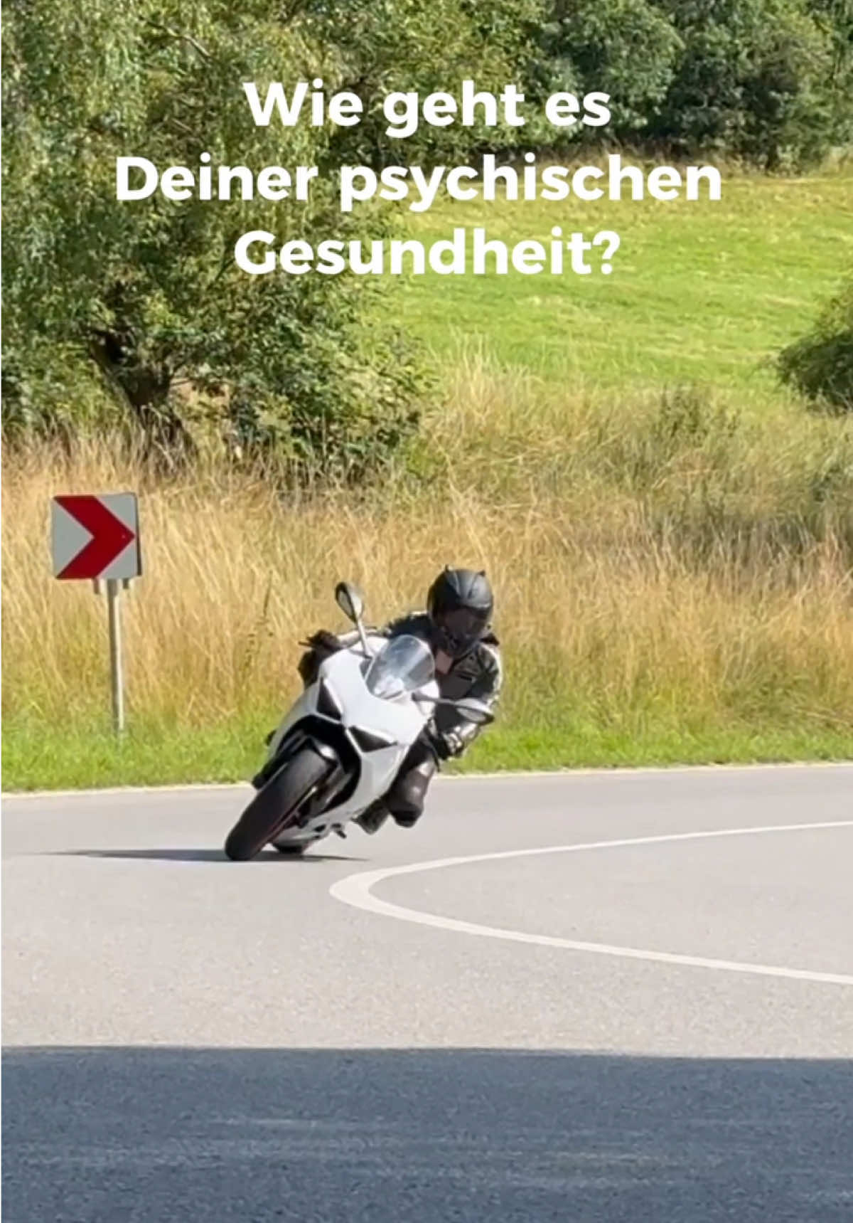 @wyvernbike