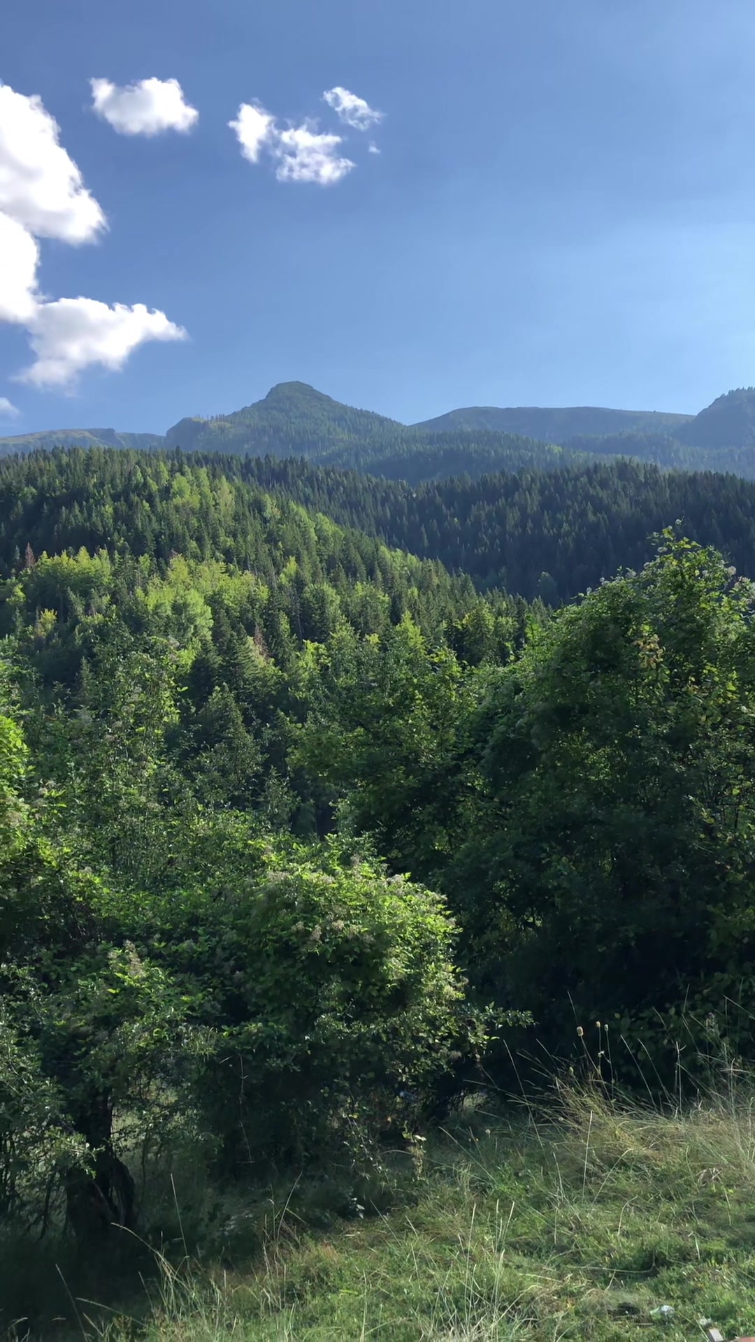 @Drenica🤙