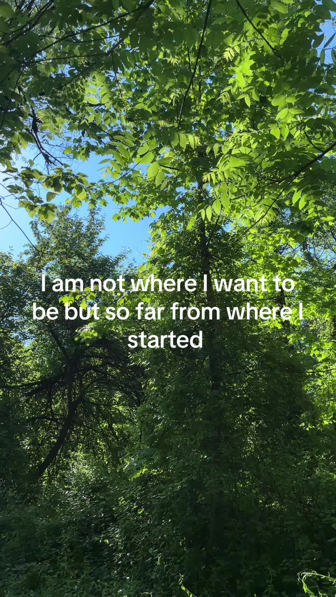 @dietcoke361