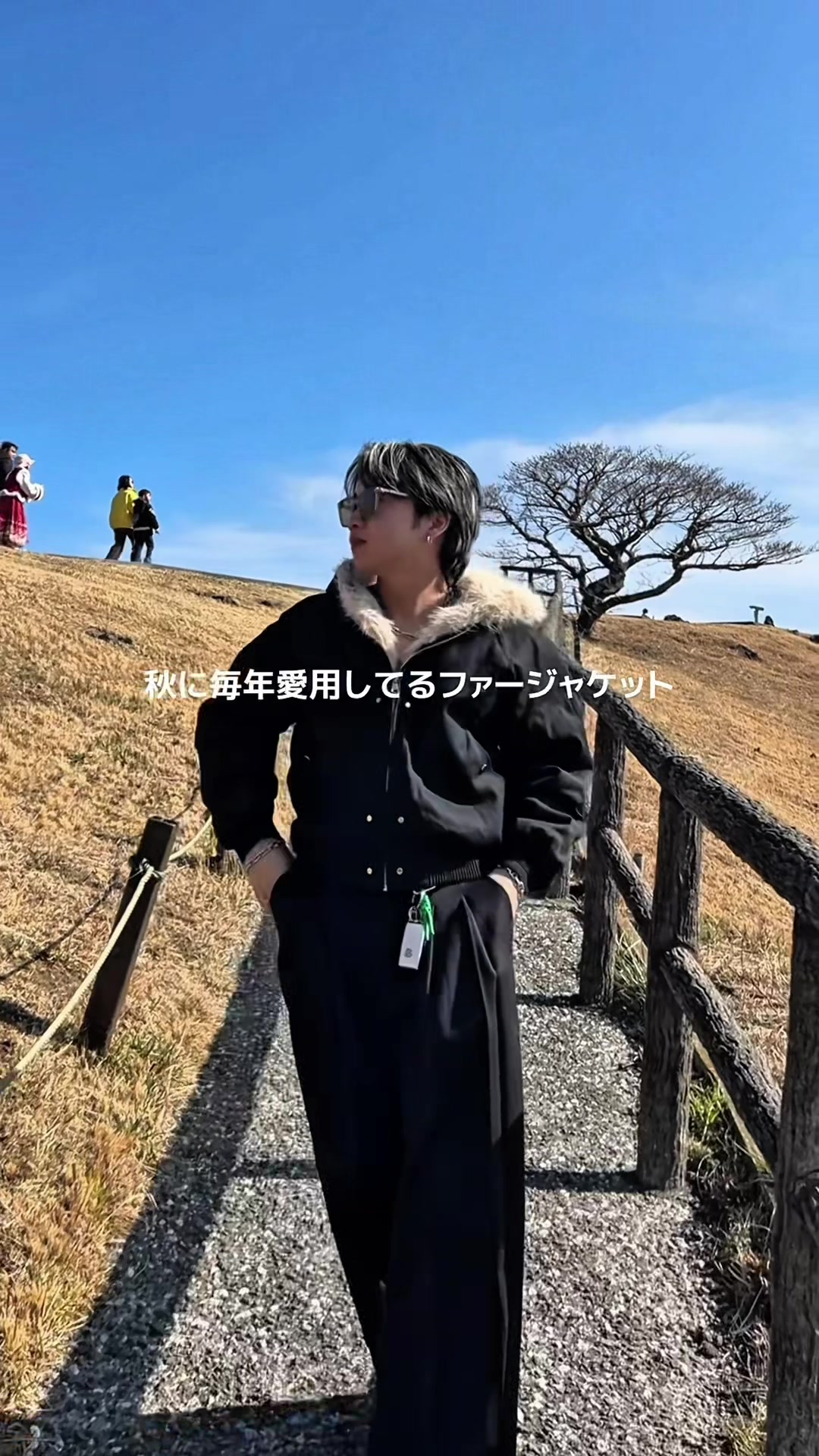 @竜聖(ダイオード)