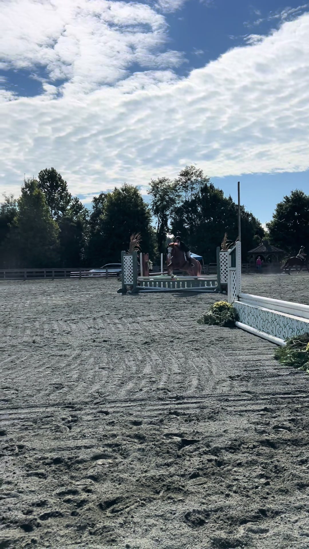 @Aftyn 🐎