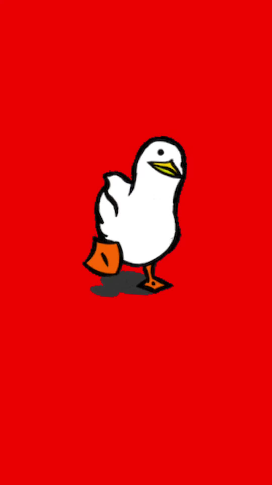 @Rocki Rockt