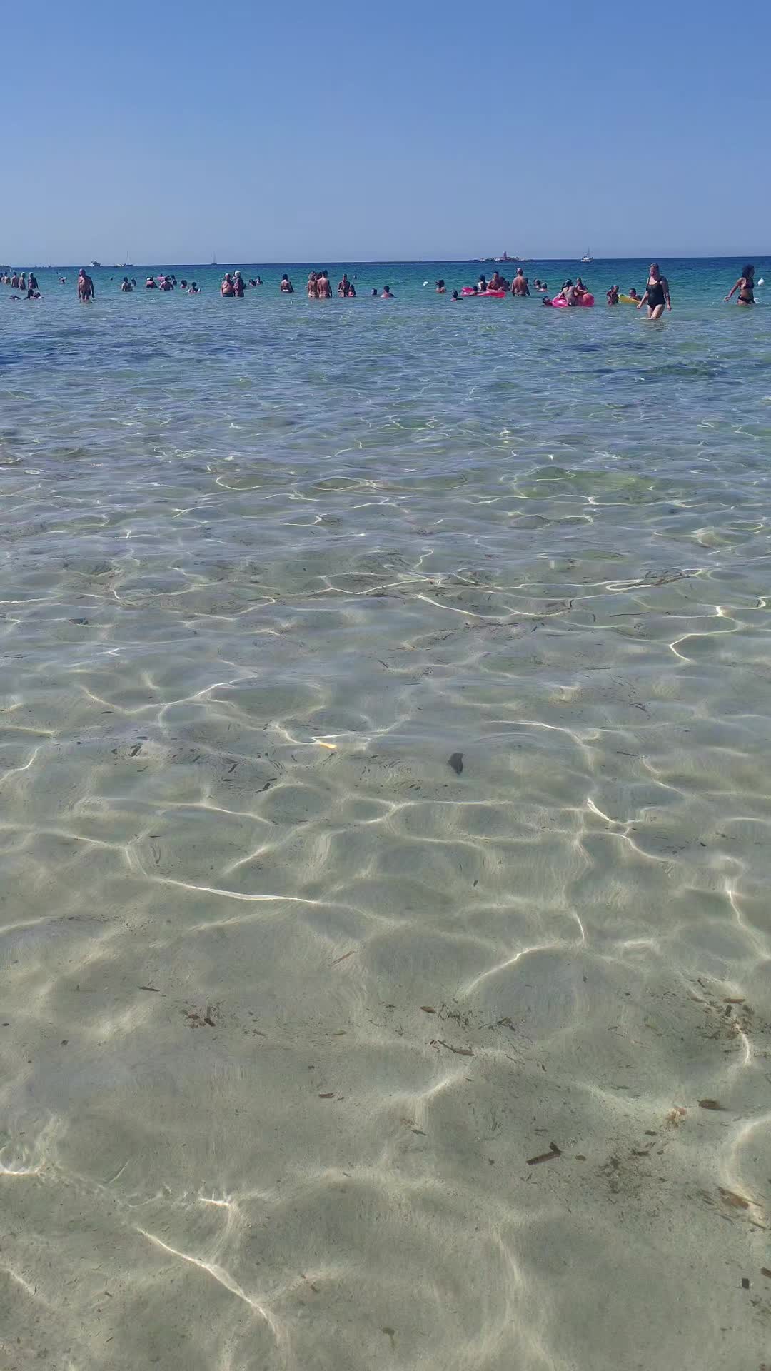 @silvylazza