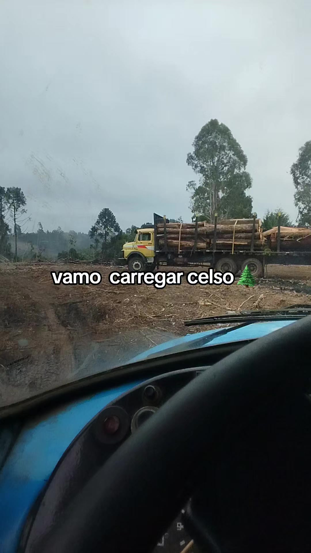 @Daniel Soares 🌲🚜