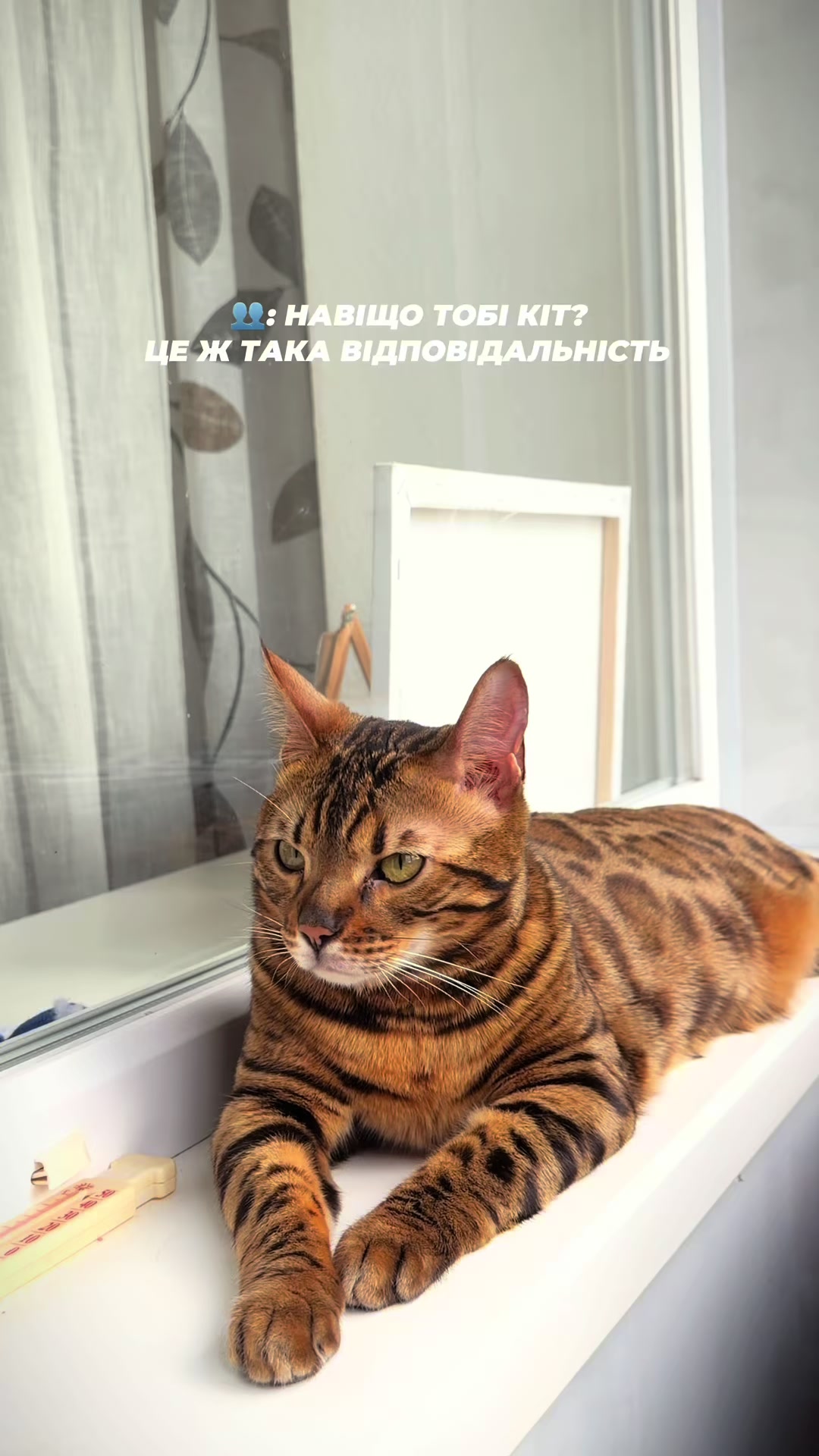 @Диана Юшкевич