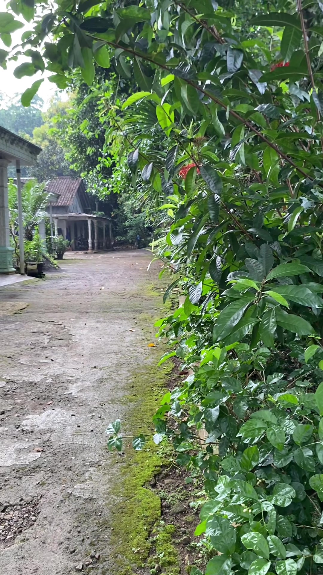 @Sae La Kune | Inspirasi Nama