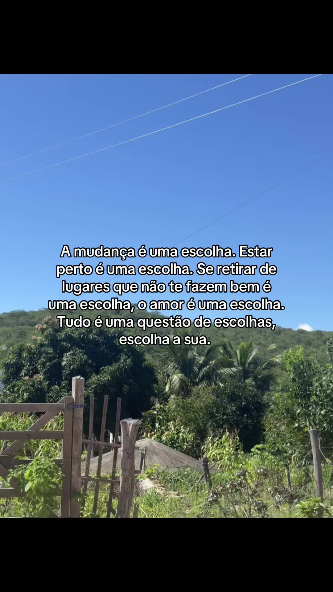 @nicoly_fonttinelly