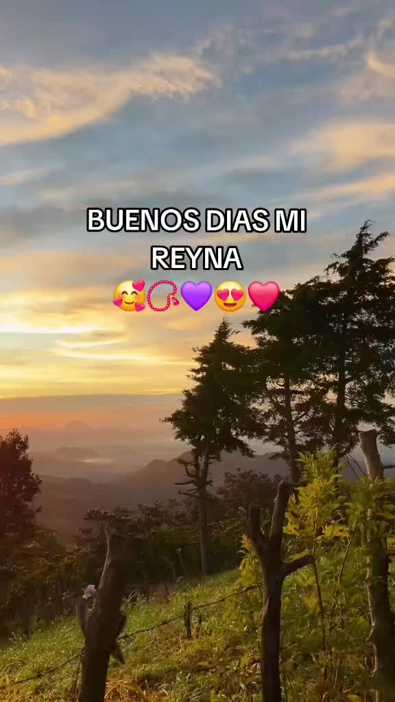 @🍀OLVIN_VL🍀