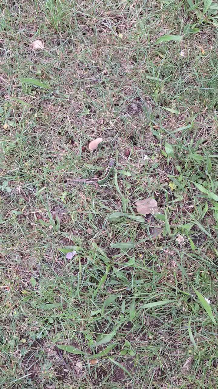 @Natur und Garten