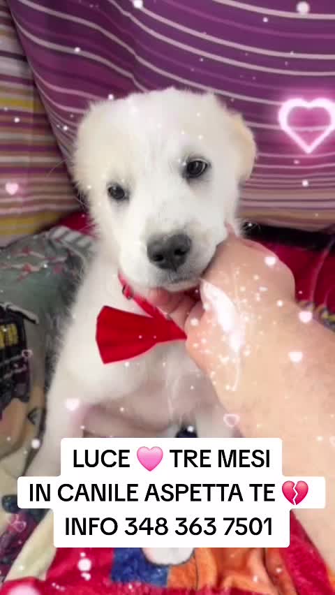 @Manuela