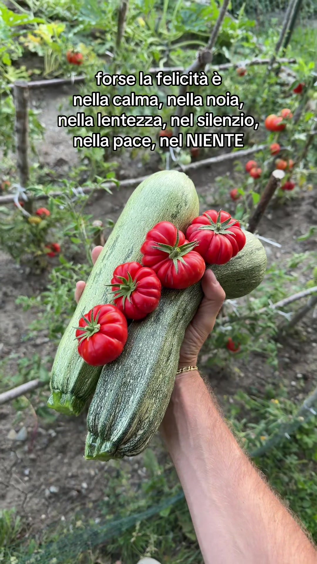 @Diego🫧
