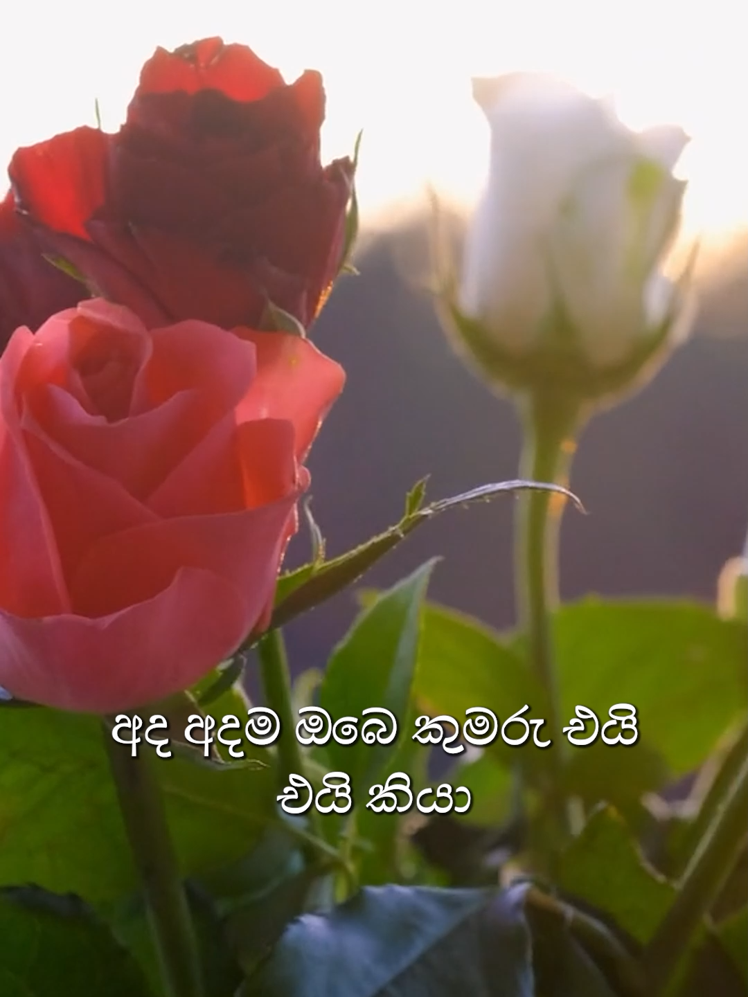 @Ceylon Chorus