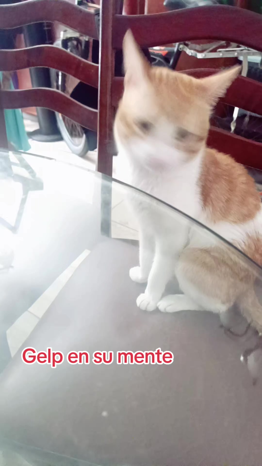 @Raul Alarcón Miranda
