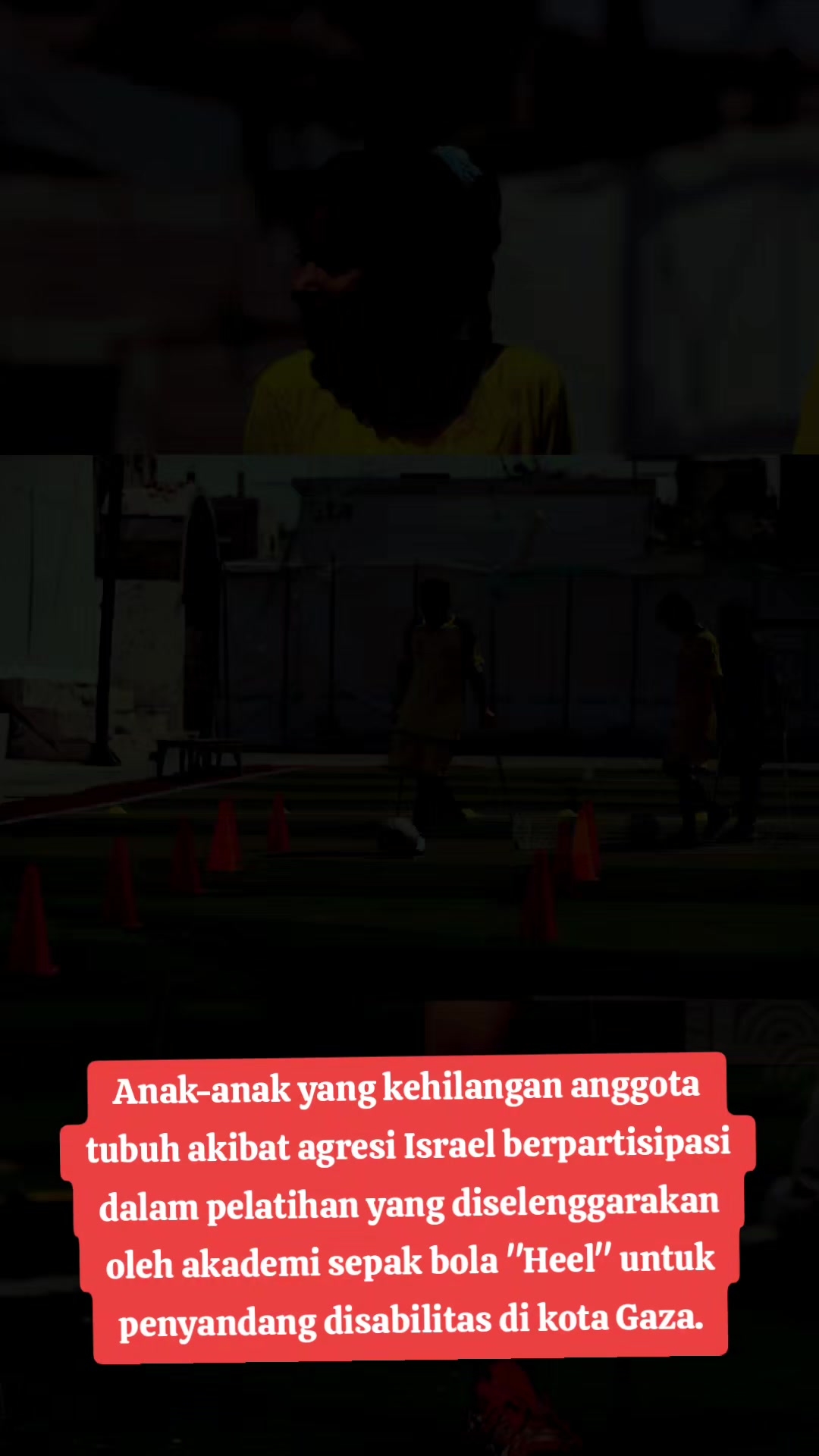 @geha9998