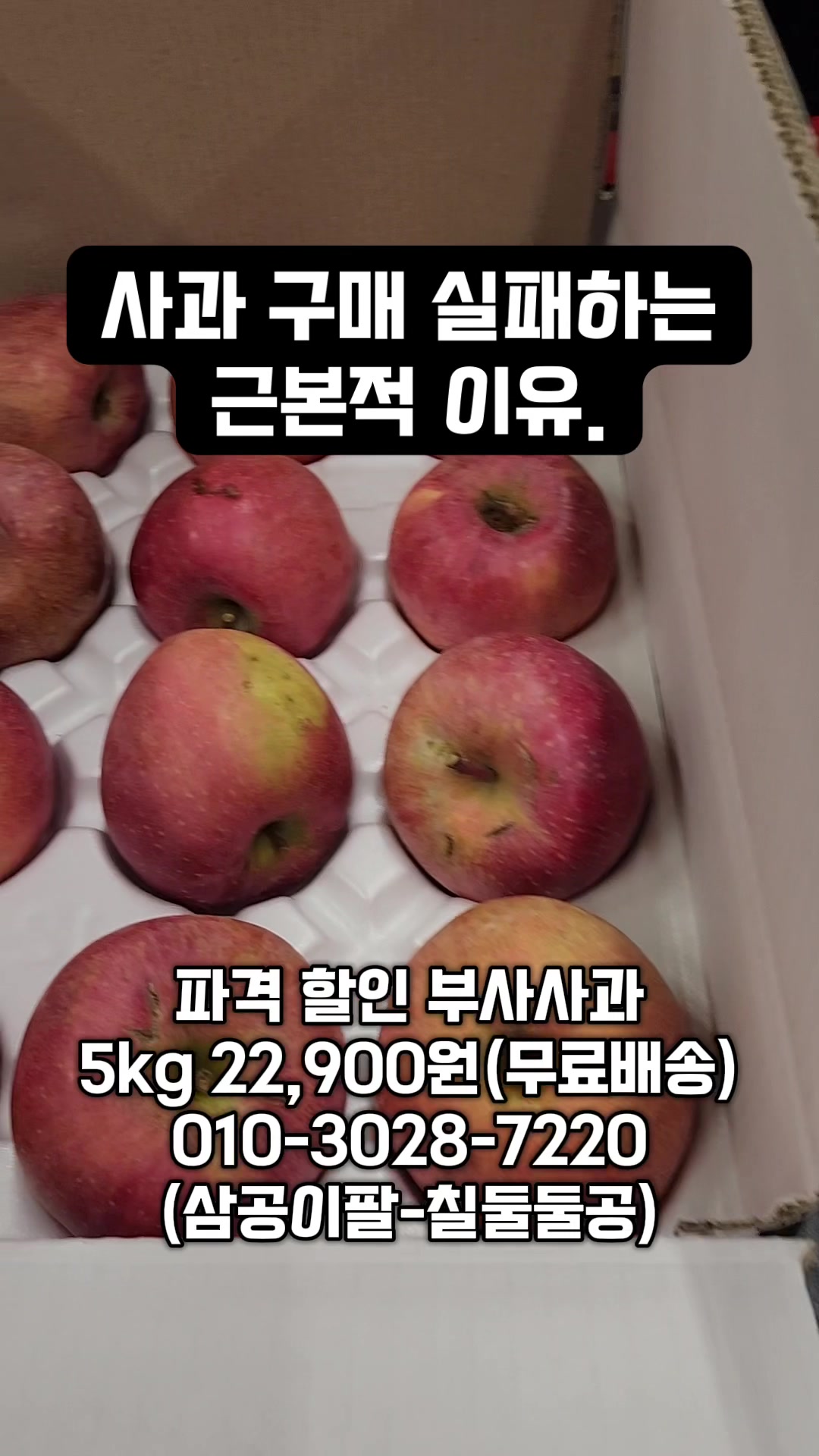 @한입의행복
