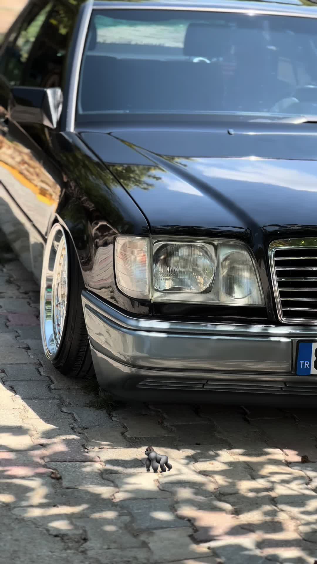 @mustafa.buyukarslan