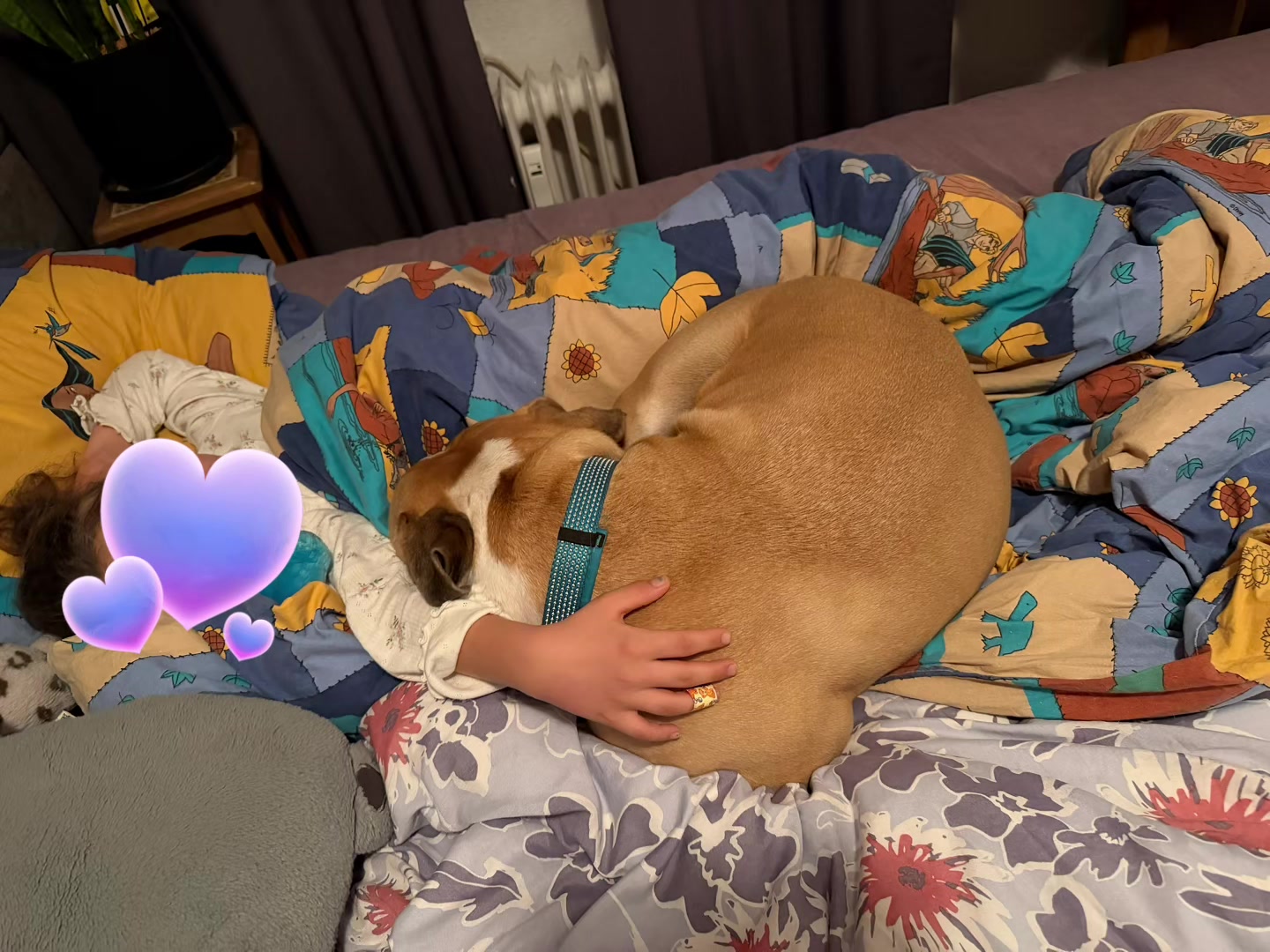 @Mogli🐾